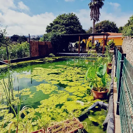 Ecofinca Selva Doramas Villa *